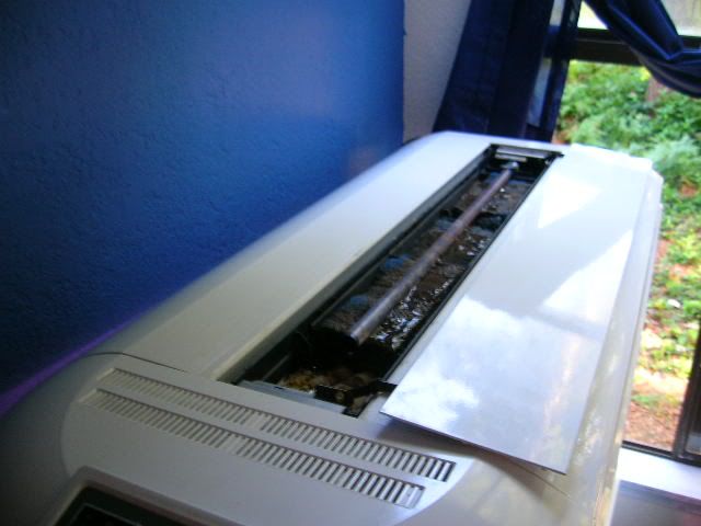 DSCN8572.jpg