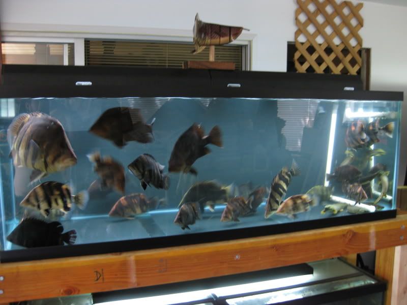 3-23-09016.jpg