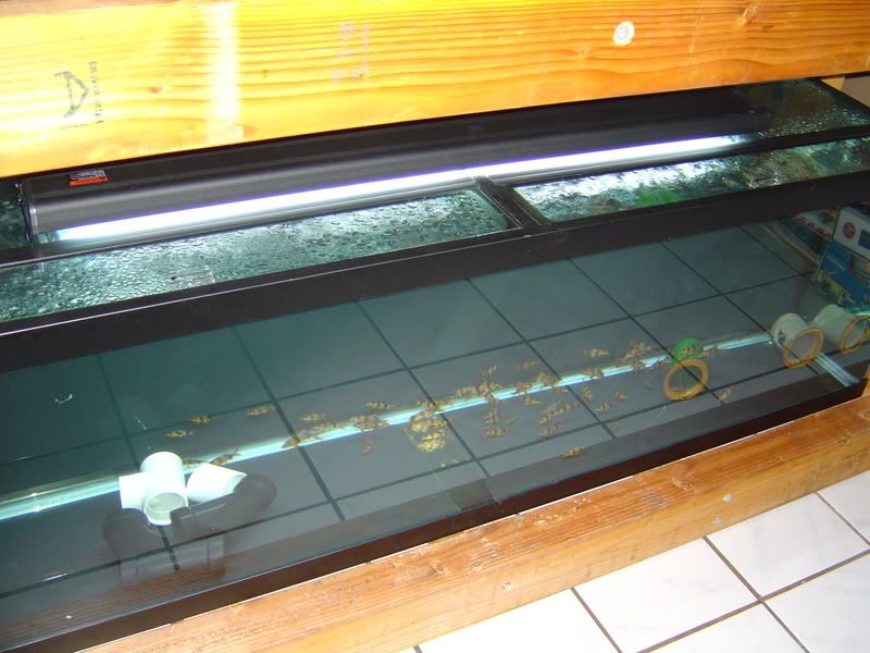 4-30-08005.jpg