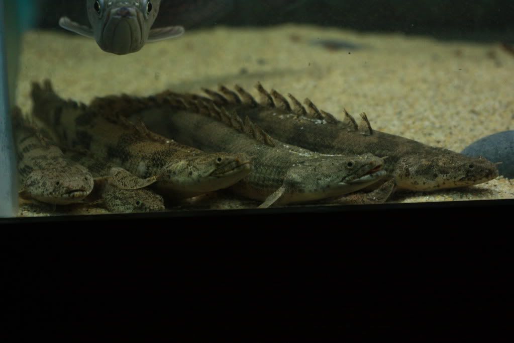 IMG_7677.jpg