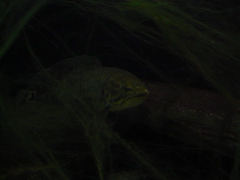 P1110441.jpg
