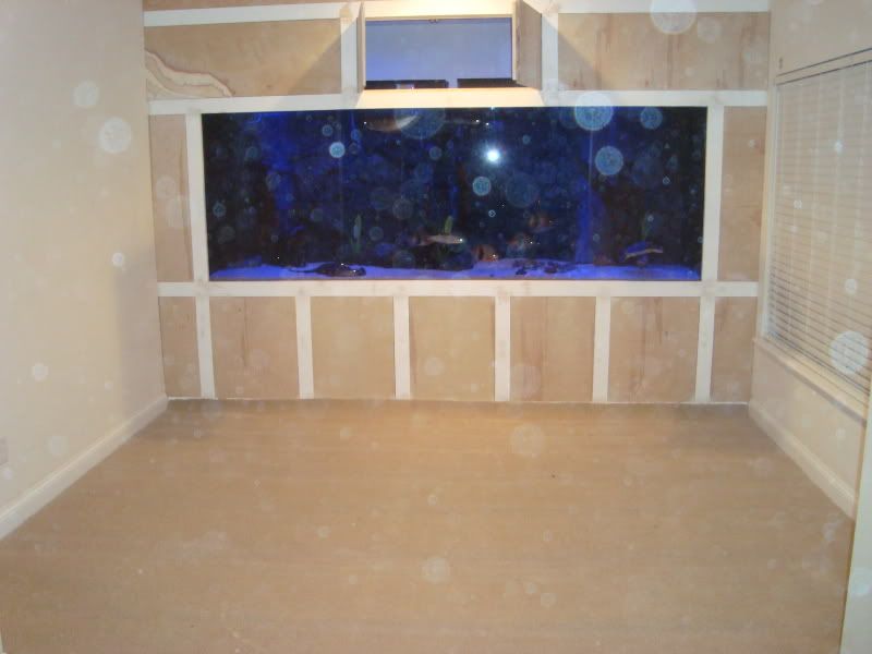 005-6.jpg