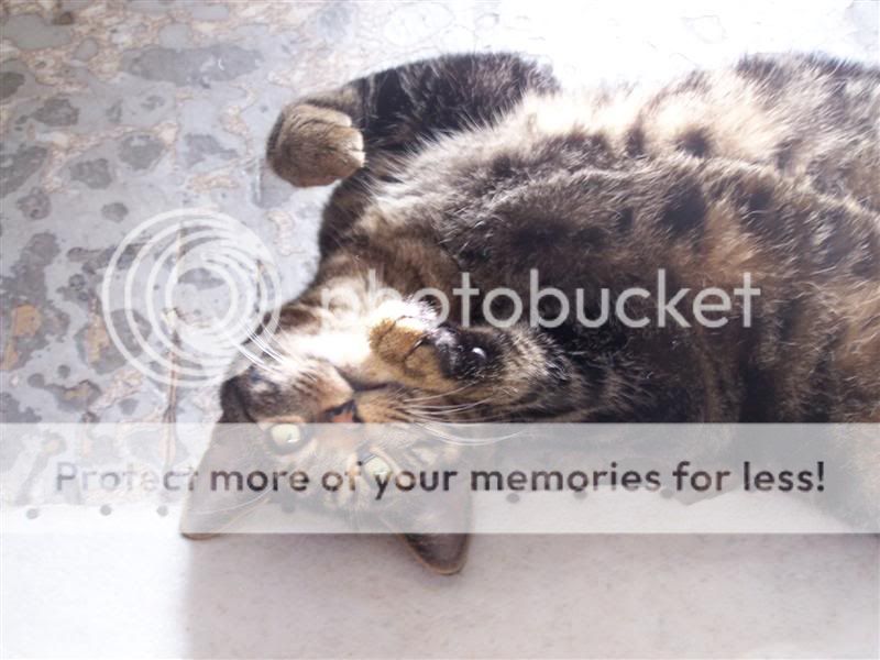 100_3178Medium.jpg