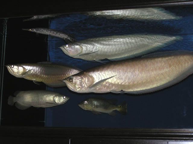 P4190090.jpg