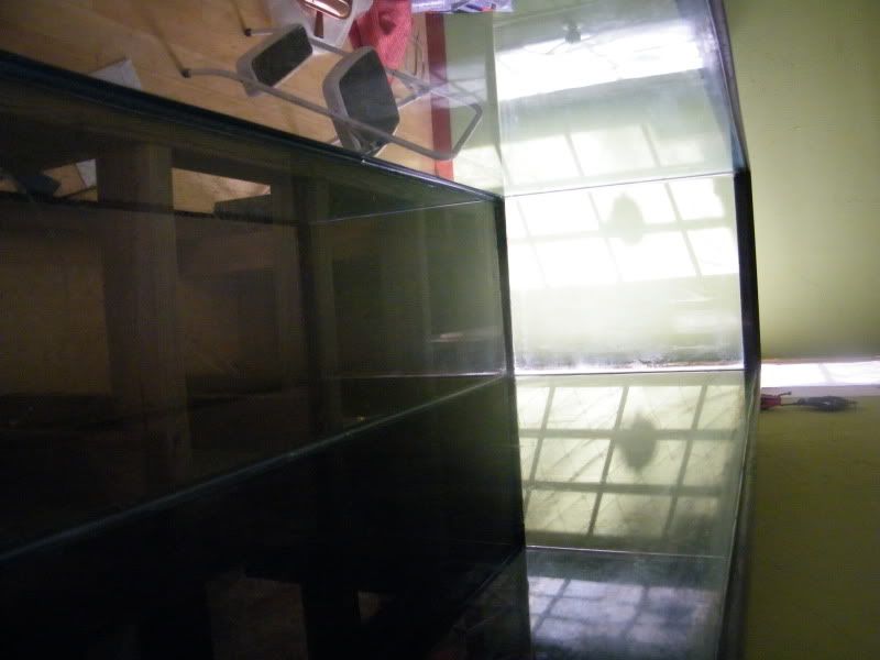 pics006.jpg