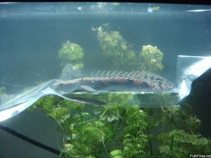 wqjky8bt_DSC00398.JPG