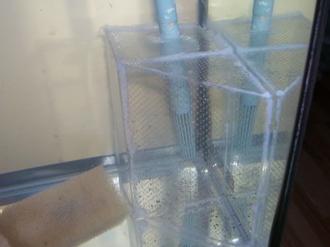 100_0601.jpg