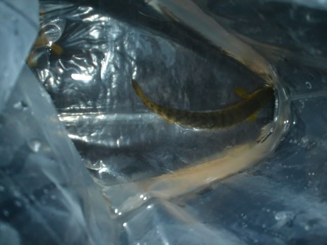 DSC00822.jpg