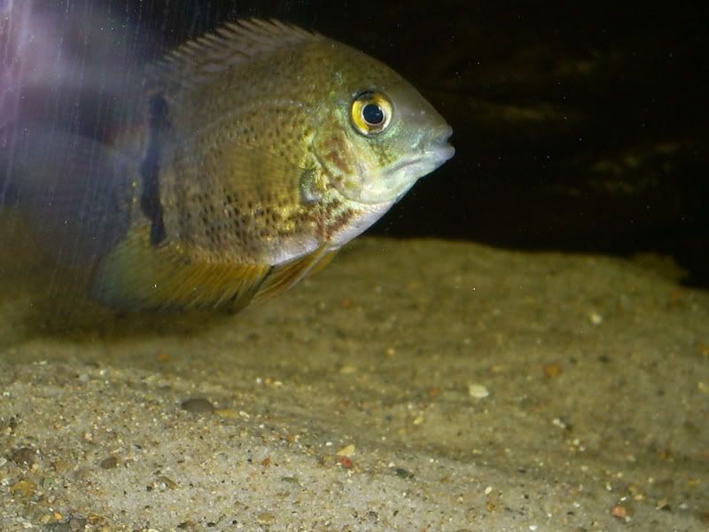 S5031298.jpg