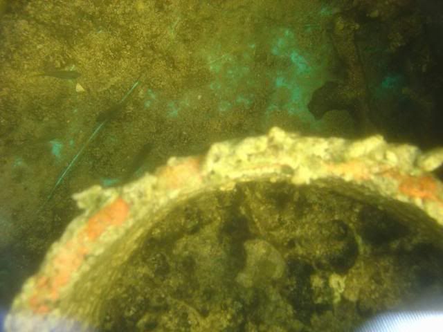 DSC04360.jpg