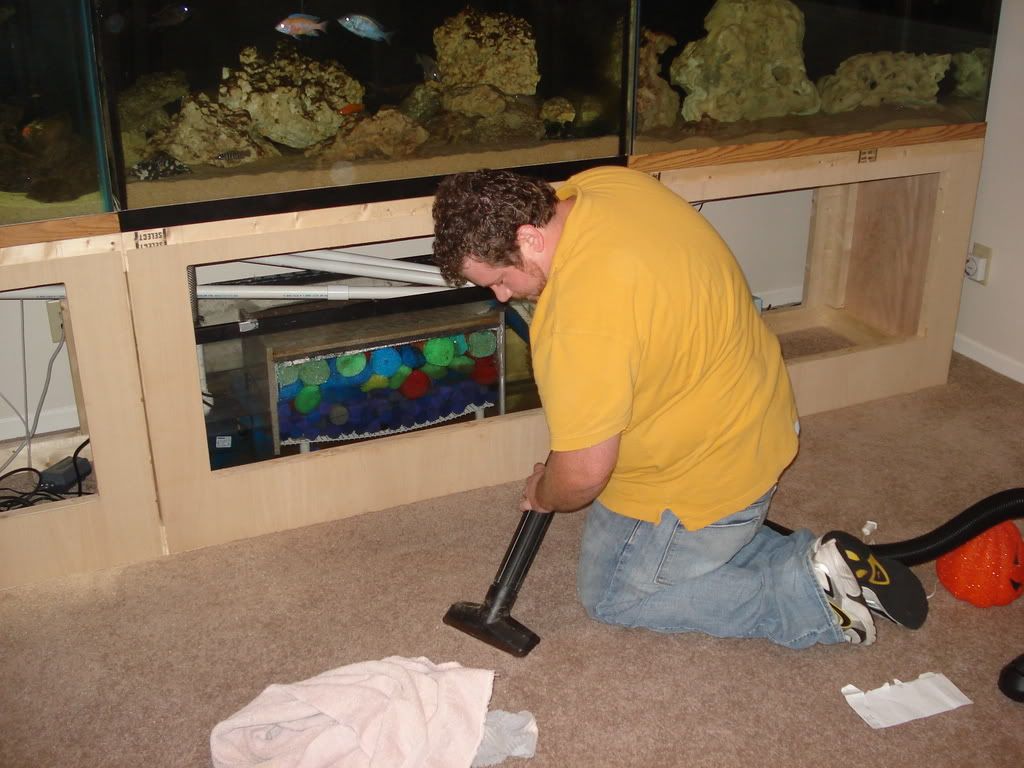 DSC02008.jpg