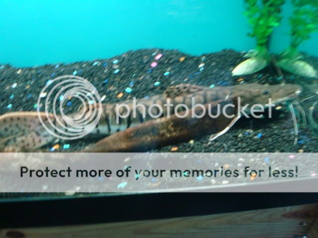 DSC05719-1.jpg