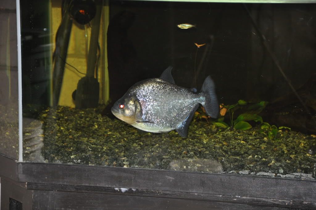 DSC_6688.jpg