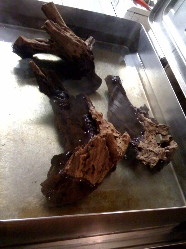 driftwood.jpg