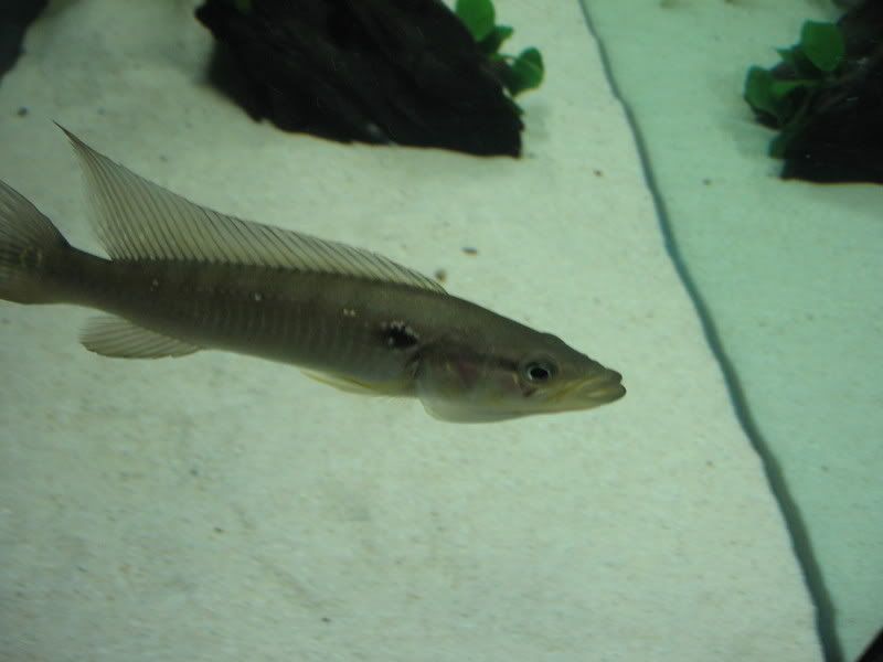 IMG_0540.jpg