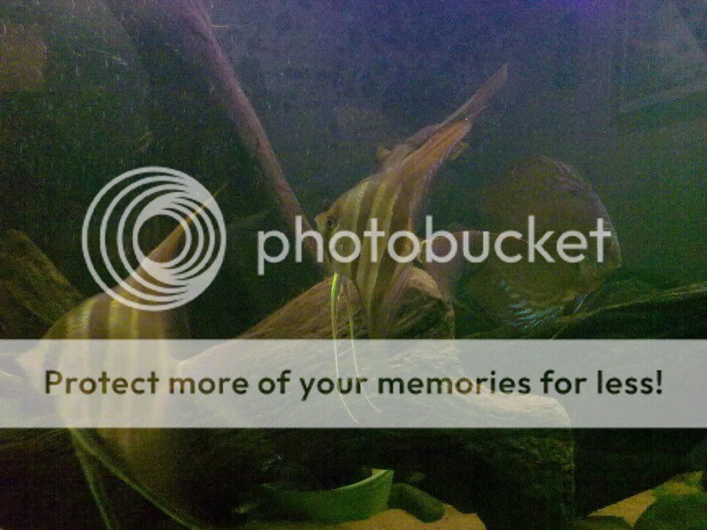 11062009239.jpg