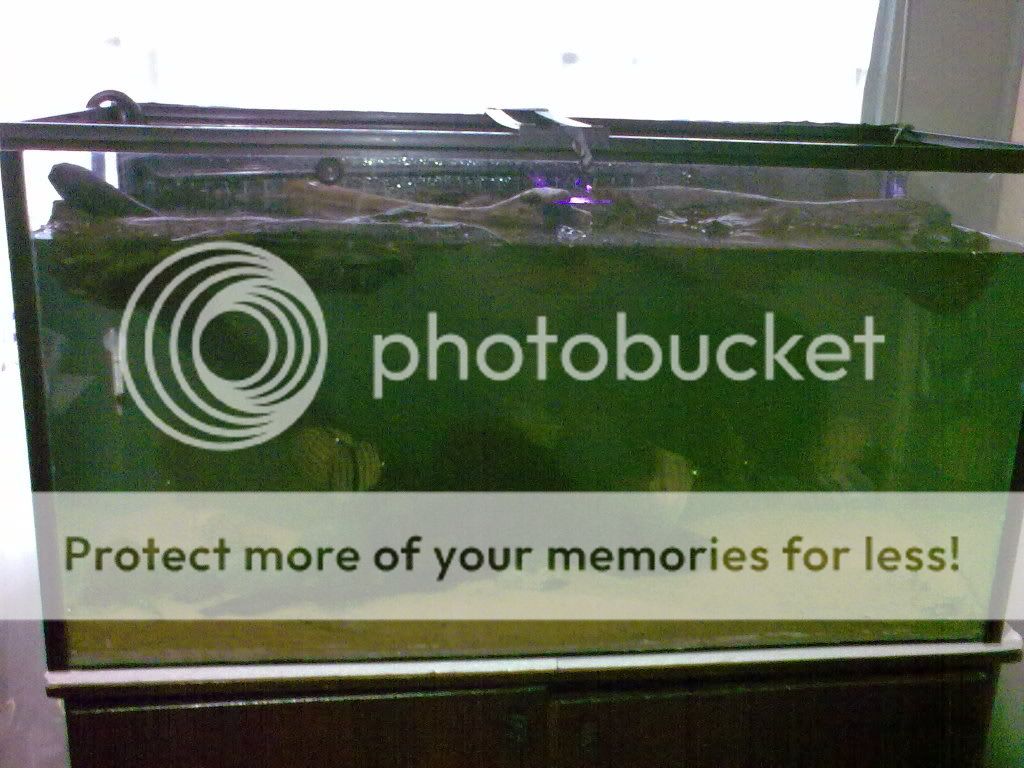 28052009108.jpg