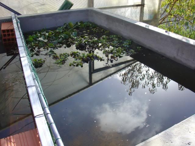 DSC09138.jpg
