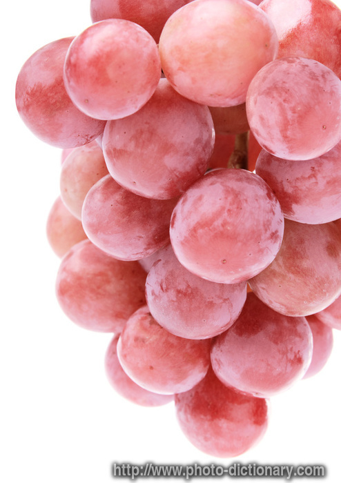 3266grape_cluster.jpg