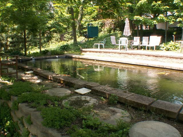 016.jpg