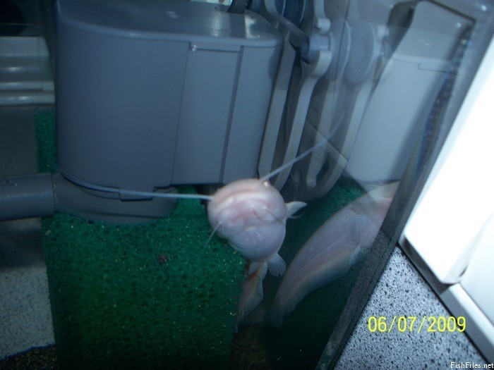 uzzmmz8t_Picture_023.jpg