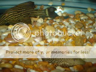 DSC01380.jpg