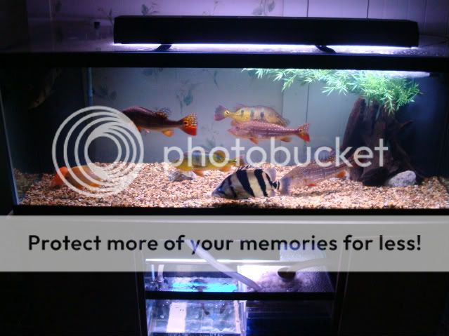 DSC02964.jpg