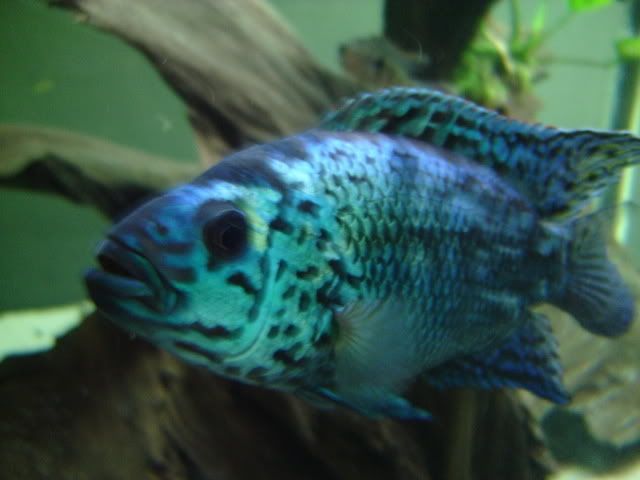 DSC05419.jpg