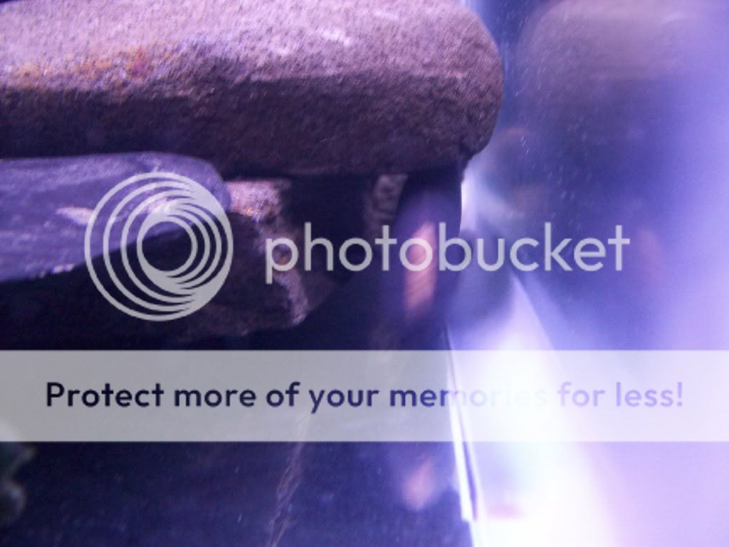 000_0014-2.jpg