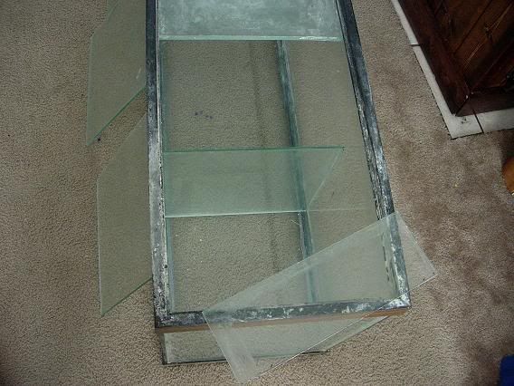 DSCN4257.jpg