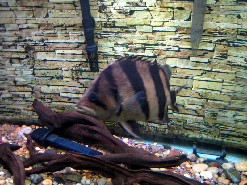 IMG_3135_edited.jpg