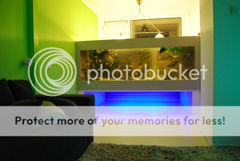2012-12-114.jpg