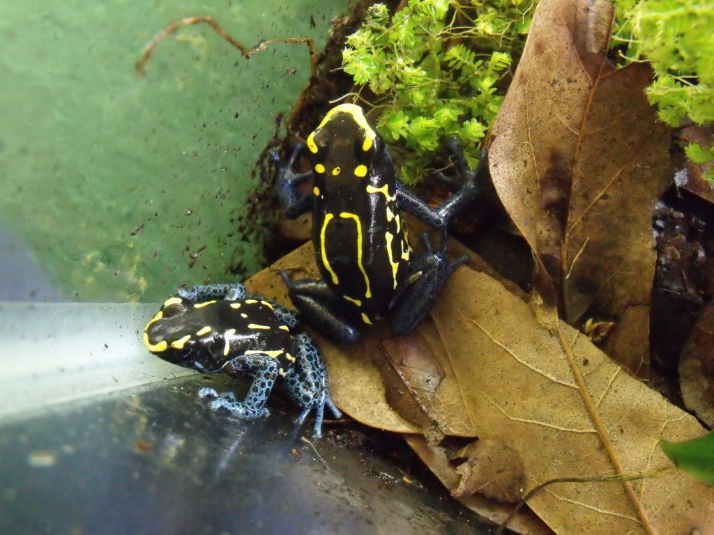 2011_0331newstuff0041.jpg