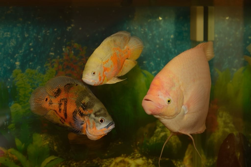 DSC_4691.jpg
