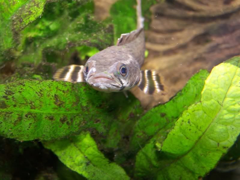 100_9006.jpg