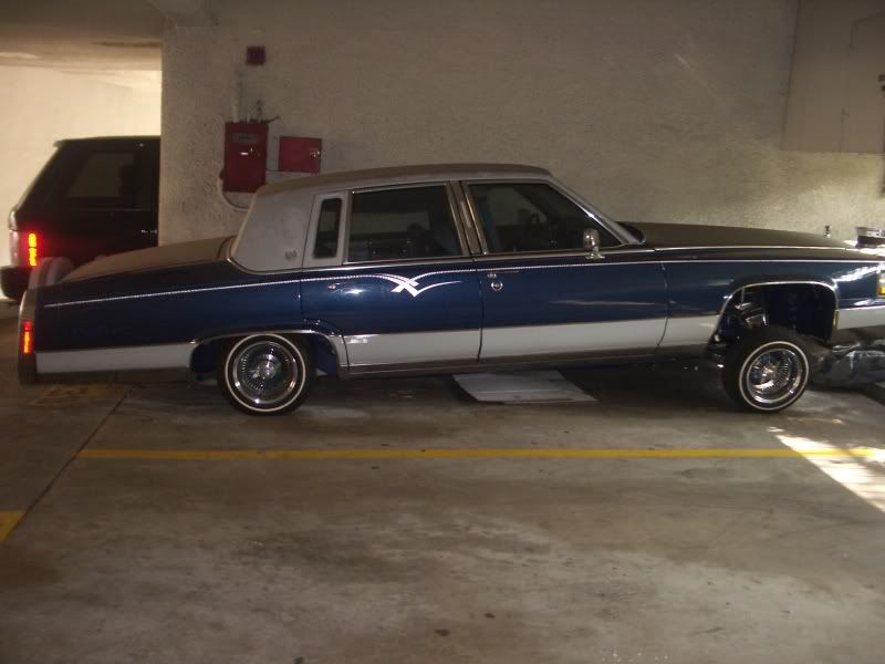 IMGP8285.jpg