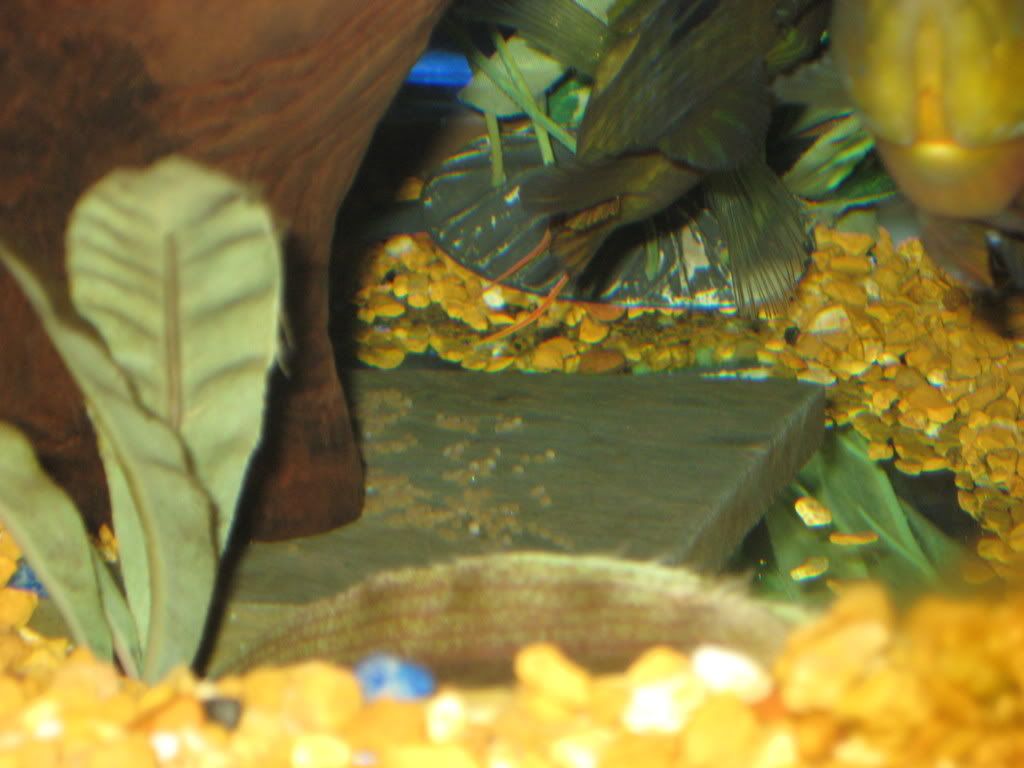 april4th-09003.jpg
