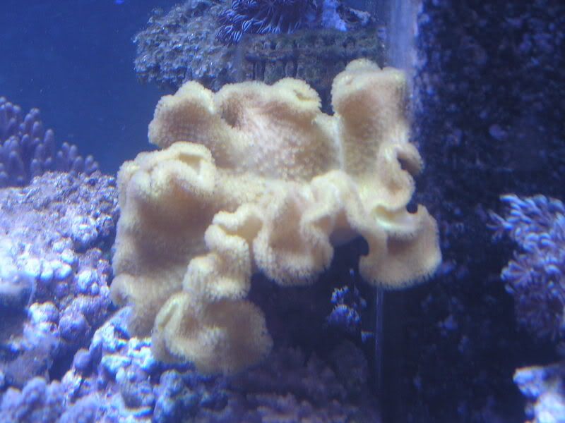 P1010150.jpg