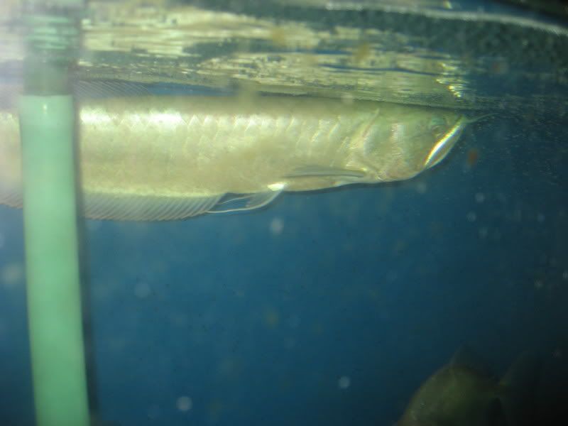 IMG_3328.jpg