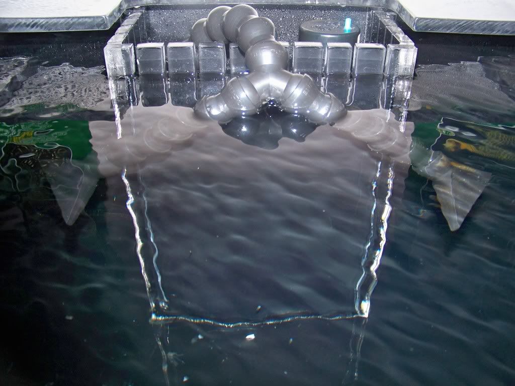 100_6851.jpg