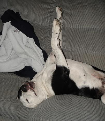 Picture059-SleepyBoBo.jpg