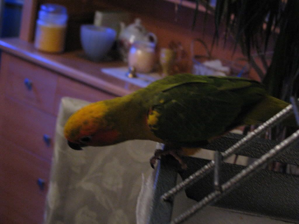 IMG_1753.jpg