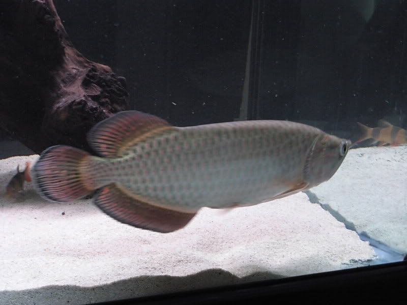 DSCN1544.jpg