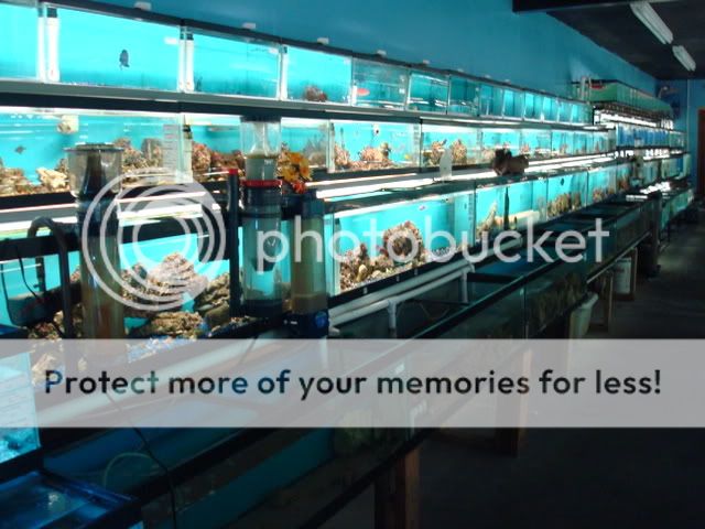DSC05718.jpg