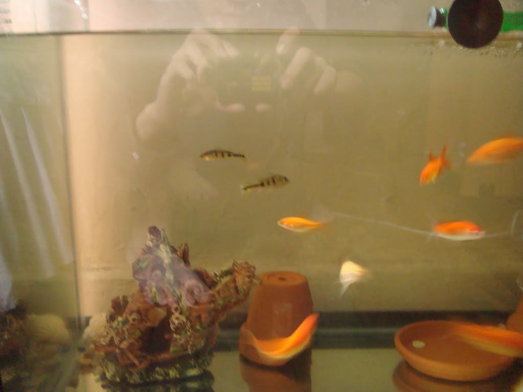 DSC01364.jpg