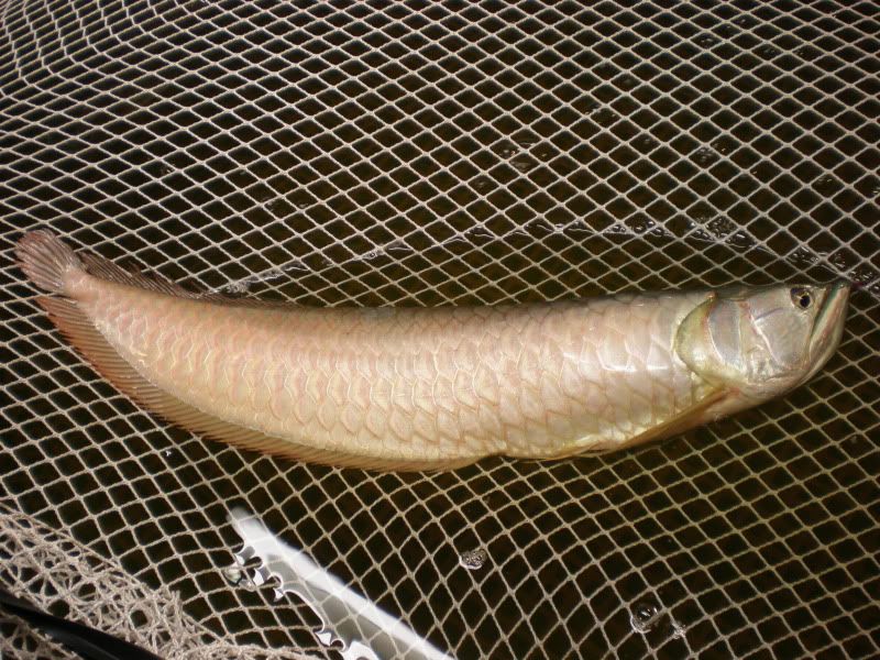 PB220007.jpg