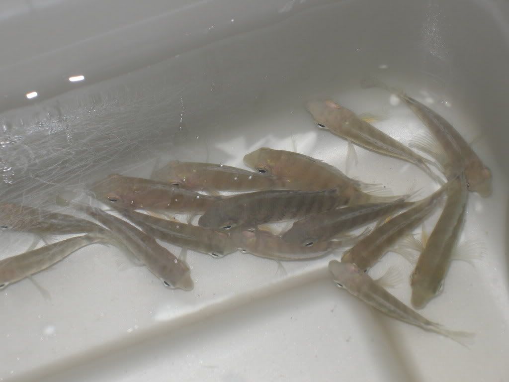 DSCN0391.jpg