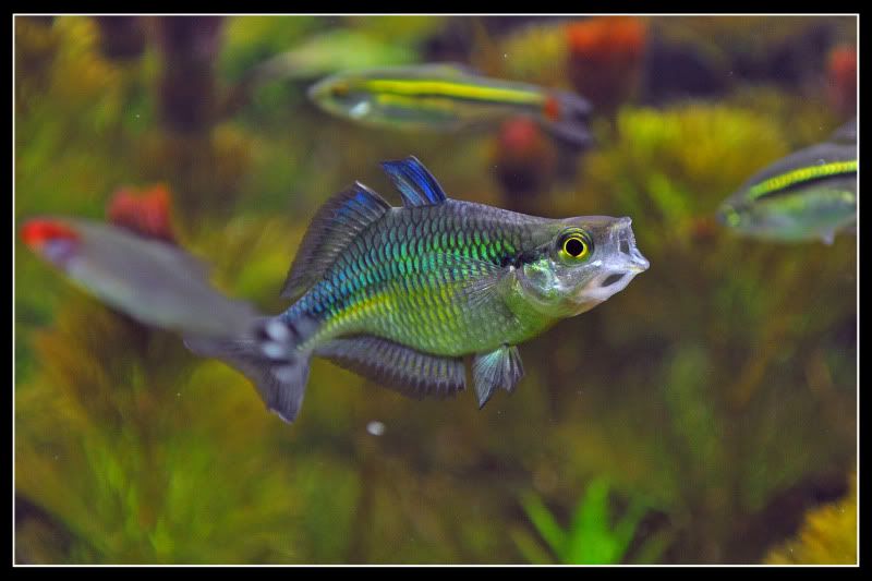 DSC_2764.jpg
