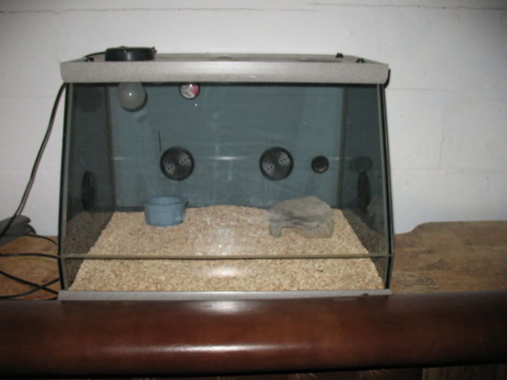 Picture003-1.jpg