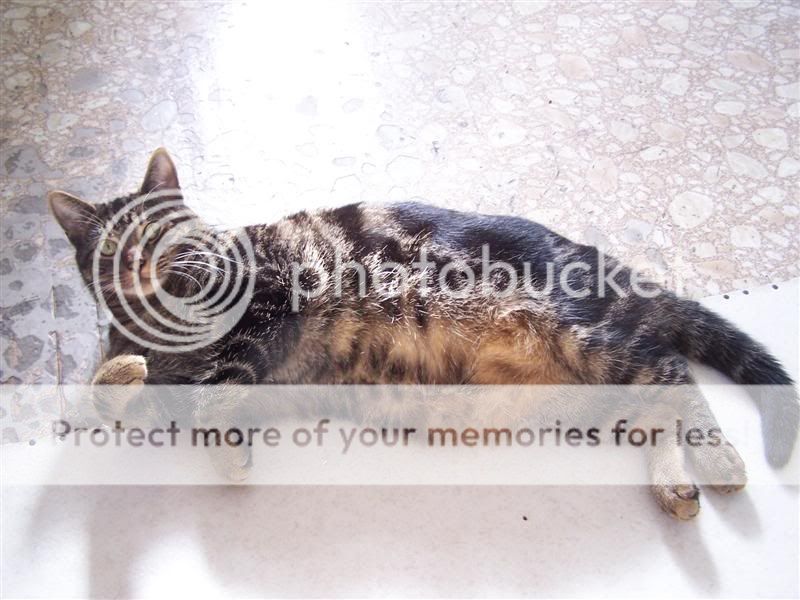 100_3176Medium.jpg